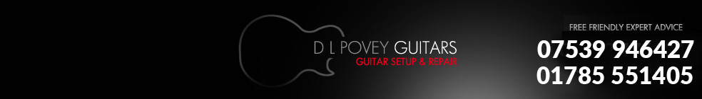 DL Povey Guitars
